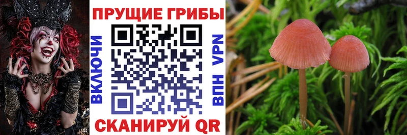 Галлюциногенные грибы Magic Shrooms Урай